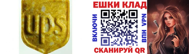 Ecstasy ешки  Ухта 