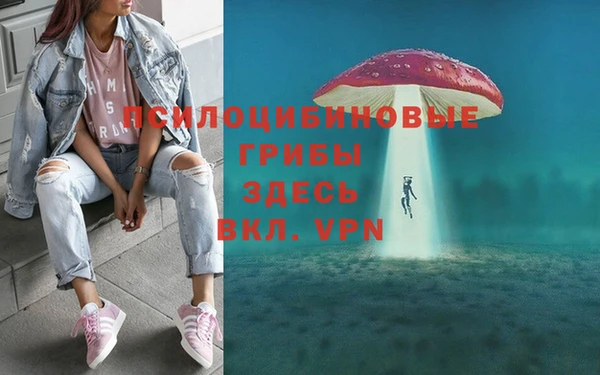 гидра Абдулино