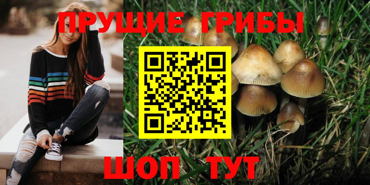 Псилоцибиновые грибы прущие грибы Ухта